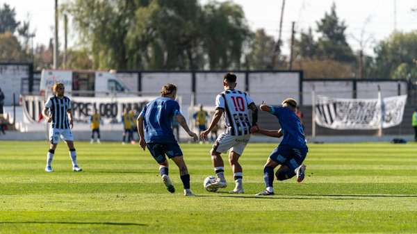 How Can You Ensure a New Pet Feels at Home in the UK?